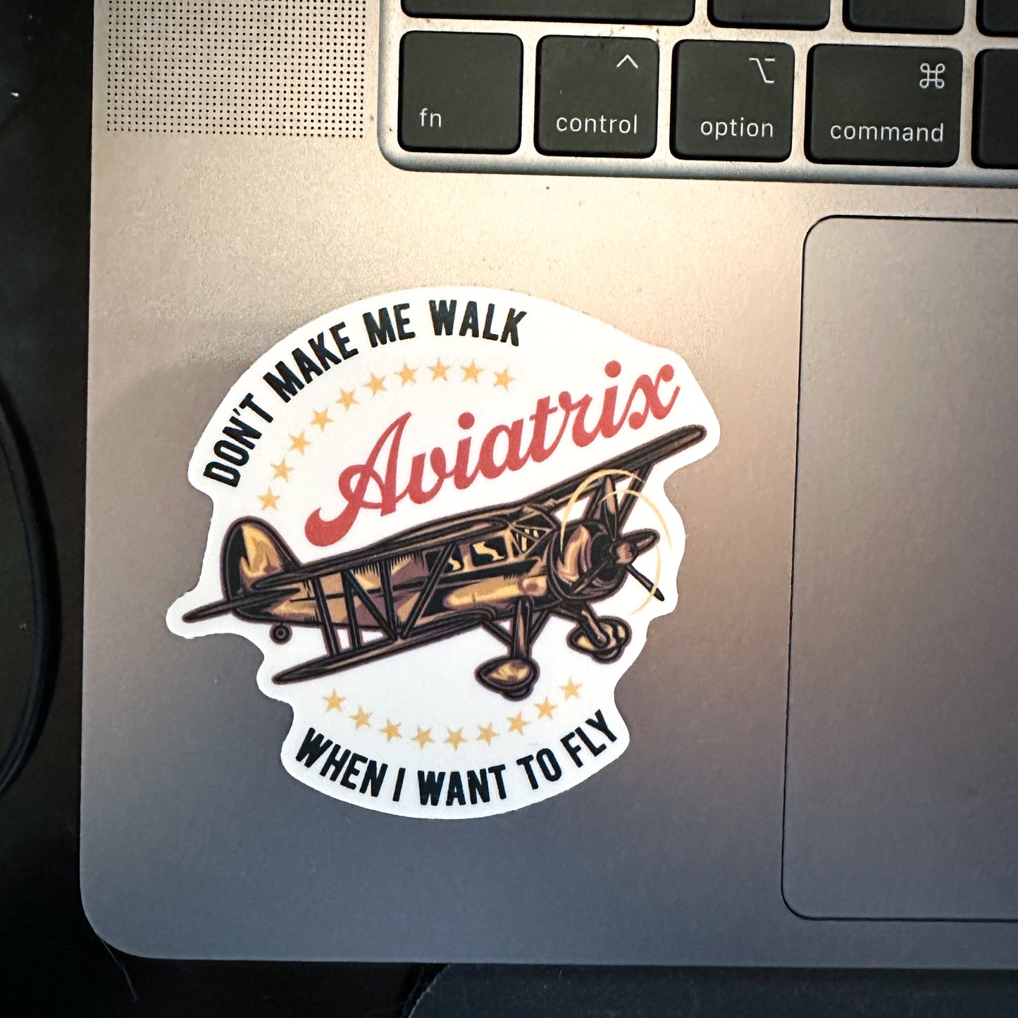 Don't Make Me Walk When I Want to Fly sticker